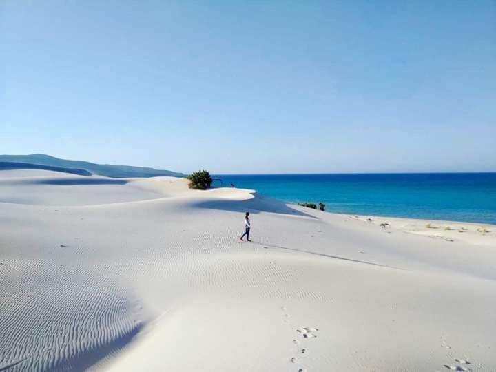 B&B Tanca Marracconi テウラーダ エクステリア 写真